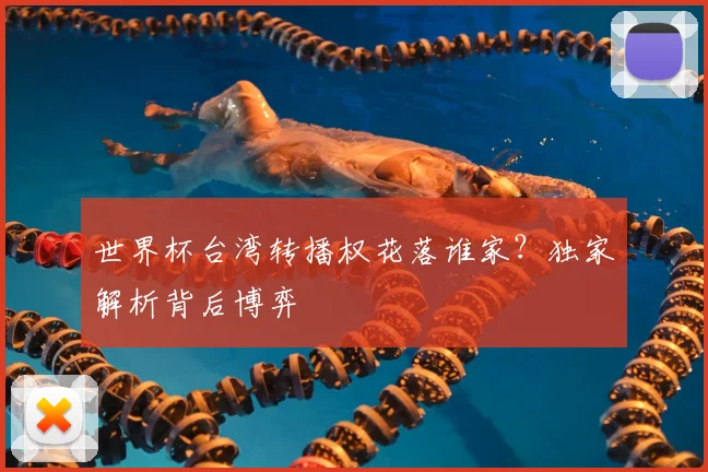 世界杯台湾转播权花落谁家？独家解析背后博弈