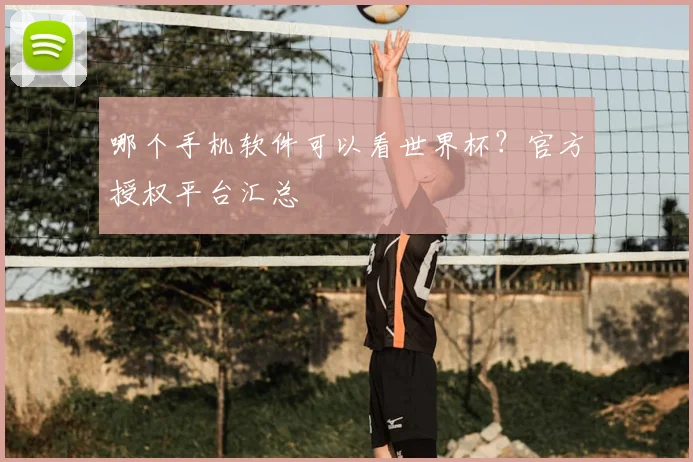 哪个手机软件可以看世界杯？官方授权平台汇总