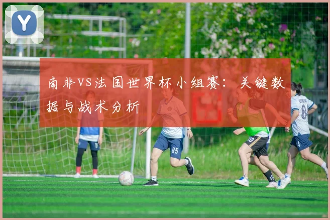 南非vs法国世界杯小组赛：关键数据与战术分析