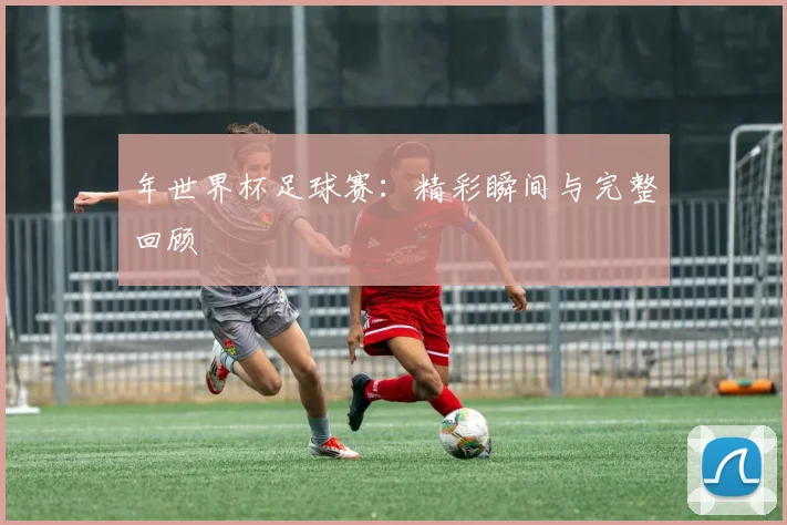 年世界杯足球赛：精彩瞬间与完整回顾