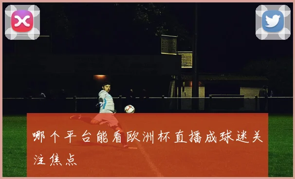 哪个平台能看欧洲杯直播成球迷关注焦点