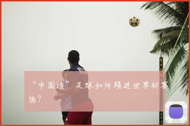 “中国造”足球如何踢进世界杯赛场？