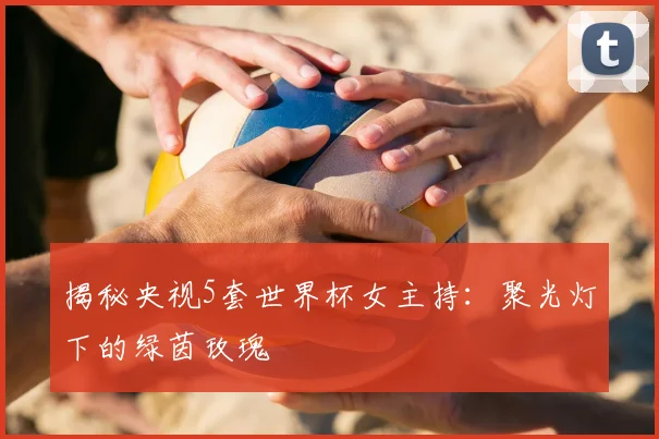 揭秘央视5套世界杯女主持:聚光灯下的绿茵玫瑰