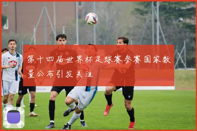 第十四届世界杯足球赛参赛国家数量公布引发关注