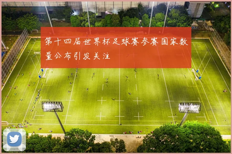 第十四届世界杯足球赛参赛国家数量公布引发关注