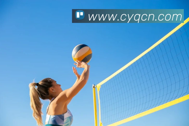 华体网页版品牌故事