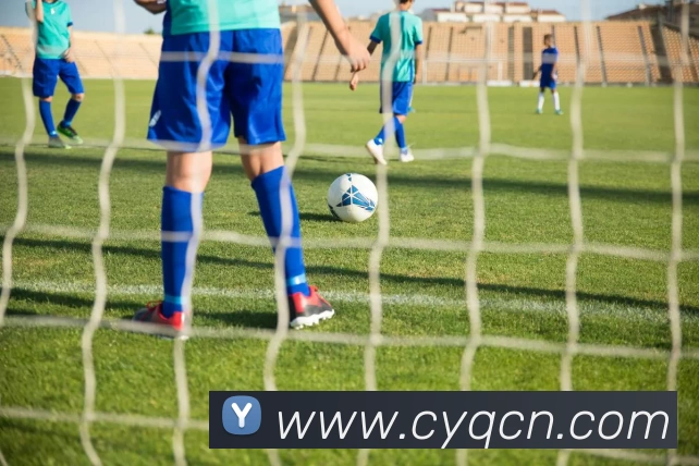 华体网页版服务体系